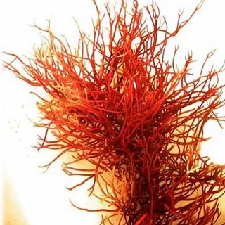 تصویر 4 از زعفران دسته خوش‌ عطر با رشته‌ های سالم و یکدست